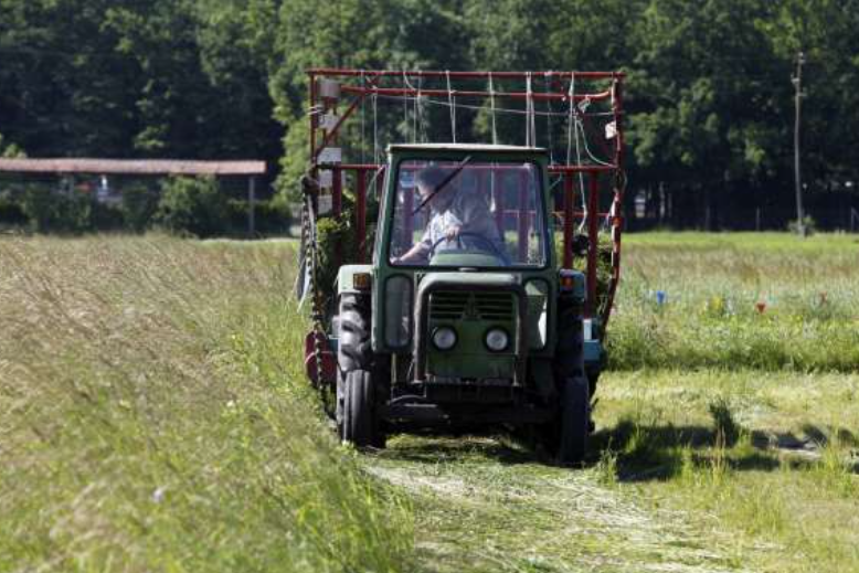 Inputi v kmetijstvu decembra medletno dražji