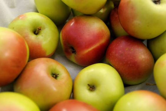 Ozaveščanje o pomenu slovenske hrane tudi z medom in jabolki na vlakih