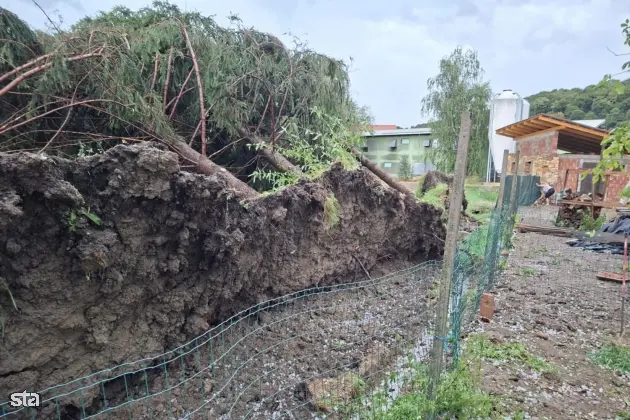Za odpravo škode po avgustovskih neurjih letos 2,2 milijona evrov
