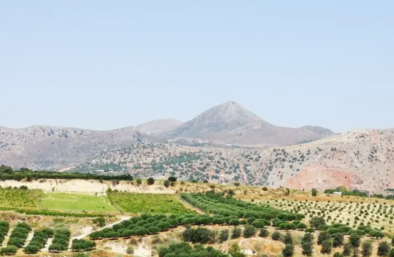 Grško vlado pretresa afera v zvezi z lažnimi kmetijskimi subvencijami