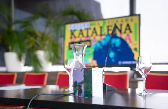 Katalena ob 25-letnici z novim albumom Meja