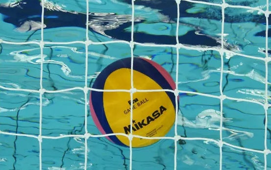 Koprčanov ne bo v finalu