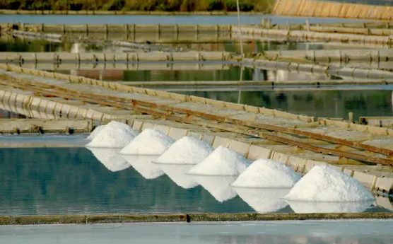 V Piranu se začenja 22. solinarski praznik