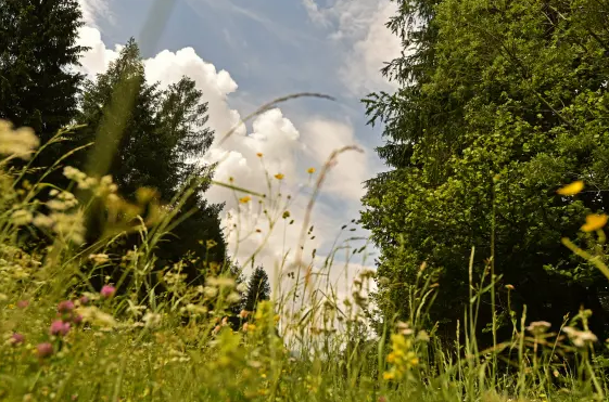 Zaznamujemo evropski dan Nature 2000