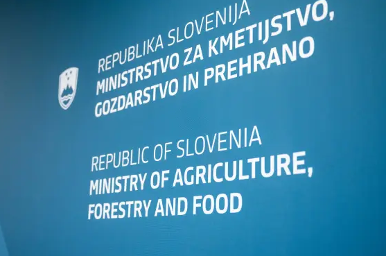 Ministrstvo: Nabava službenega vozila in izbor zunanjega izvajalca v skladu s pravili